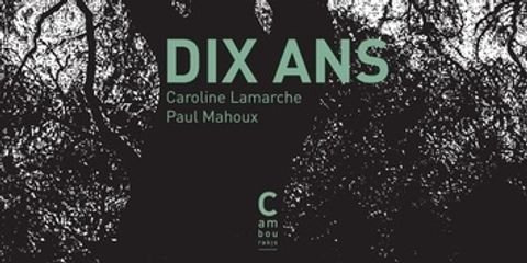 Dix Ans Le Roman Graphique De Caroline Lamarche Pierre Mahoux