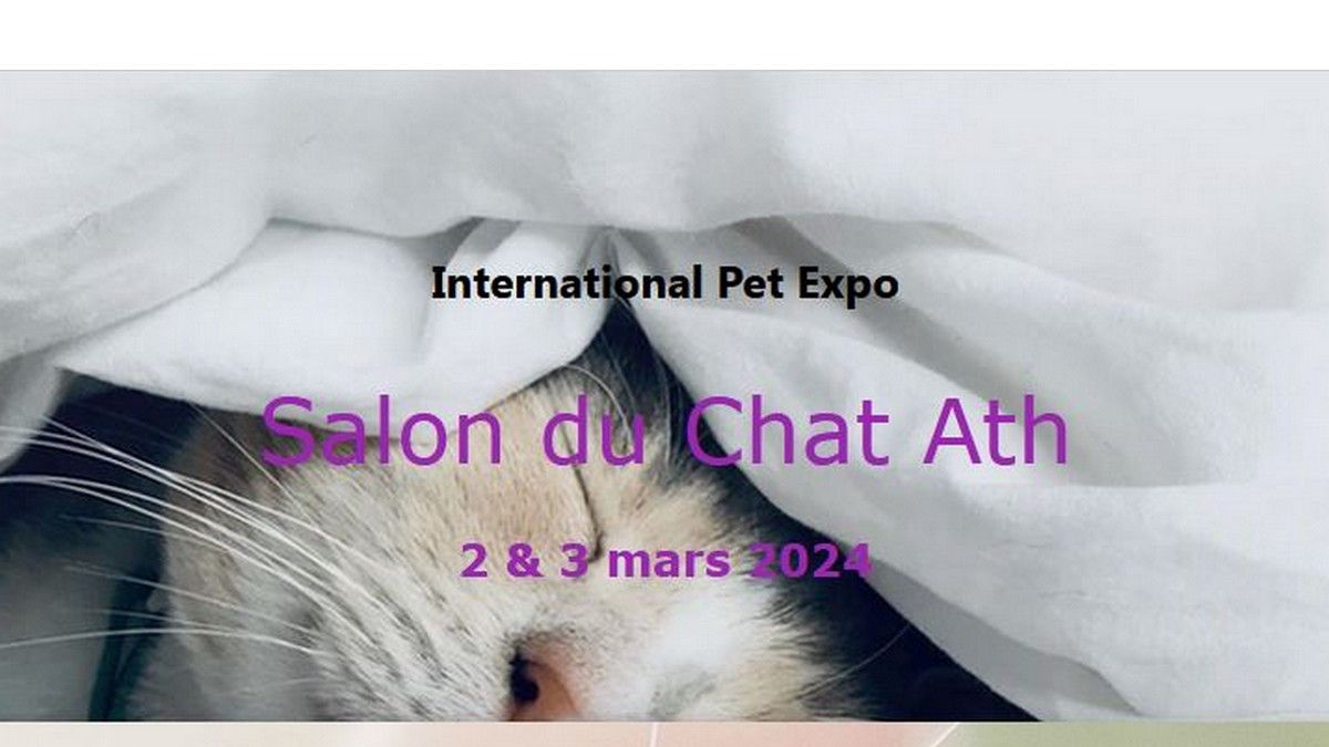 Salon International du chat de race de Ath 