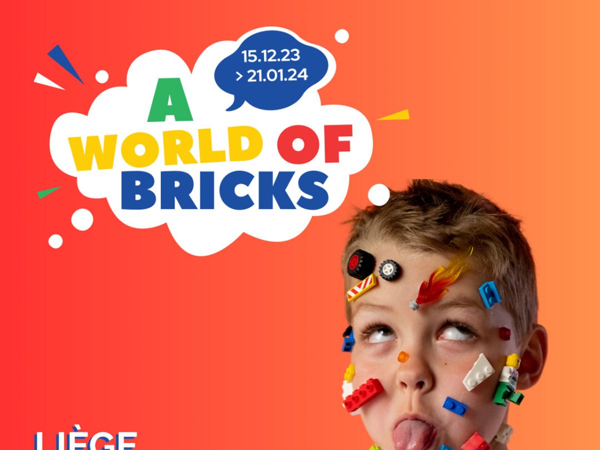 Stage vacances autour du Lego - Ludi Briques