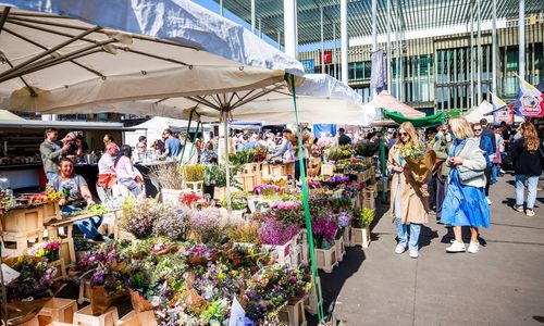 Rommelmarkt - Vogelenmarkt
