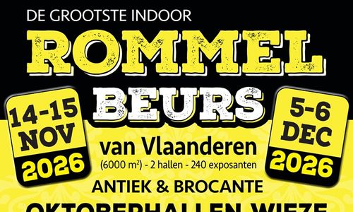 Rommelbeurs (Antiek en Brocante)
