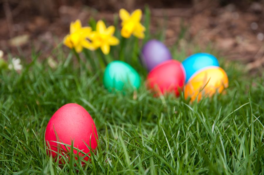 Les chasses aux oeufs près de chez vous