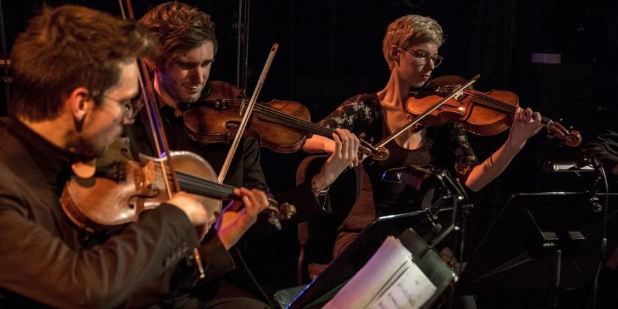 image - Strijkersensemble Koninklijk Conservatorium Brussel