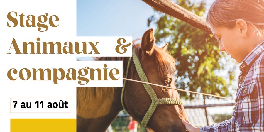 image - Stage Animaux & compagnie