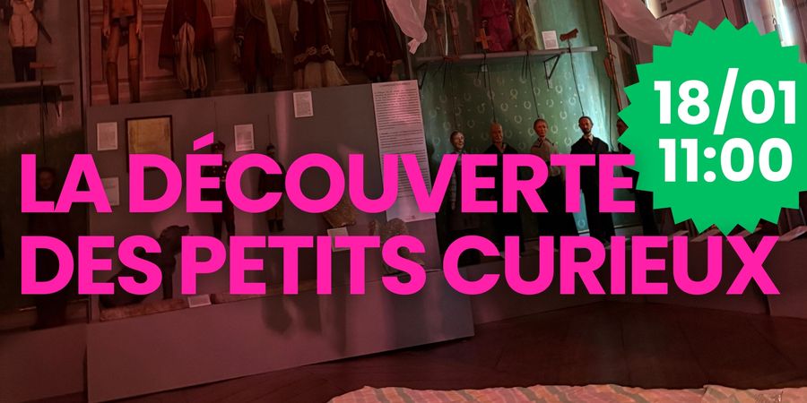 image - La découverte des petits curieux