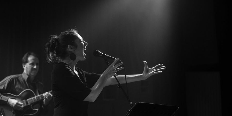 image - Apéro-Concert : Alijane