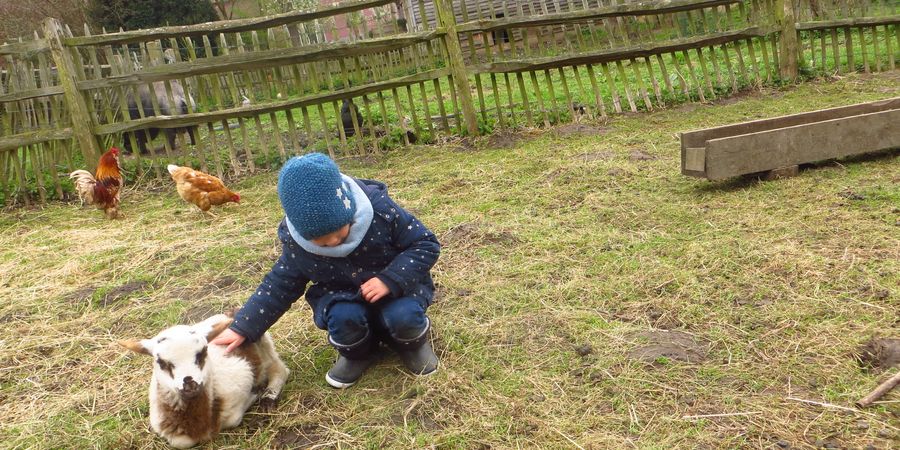 image - Stage de printemps à la Ferme