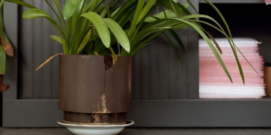 image - Visite guidée / WORK