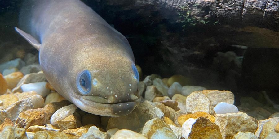 image - Journée Mondiale des Rivières et des Fleuves