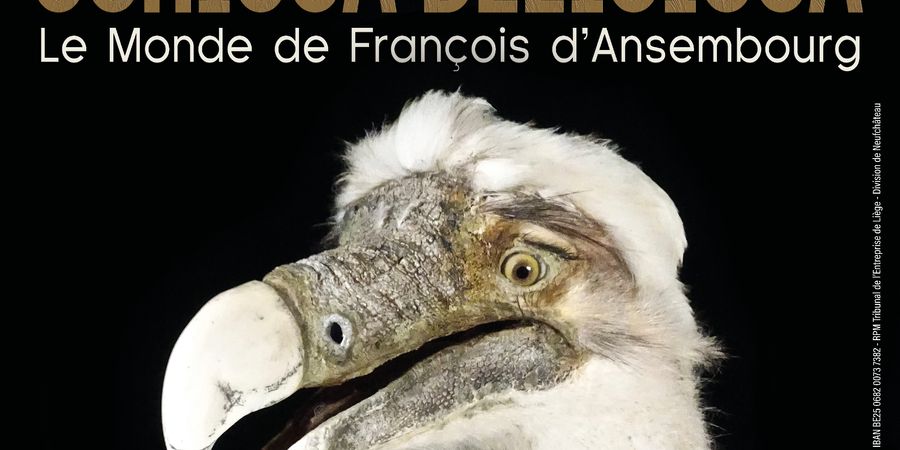 image - Curiosa Deliciosa - Le monde de François d’Ansembourg