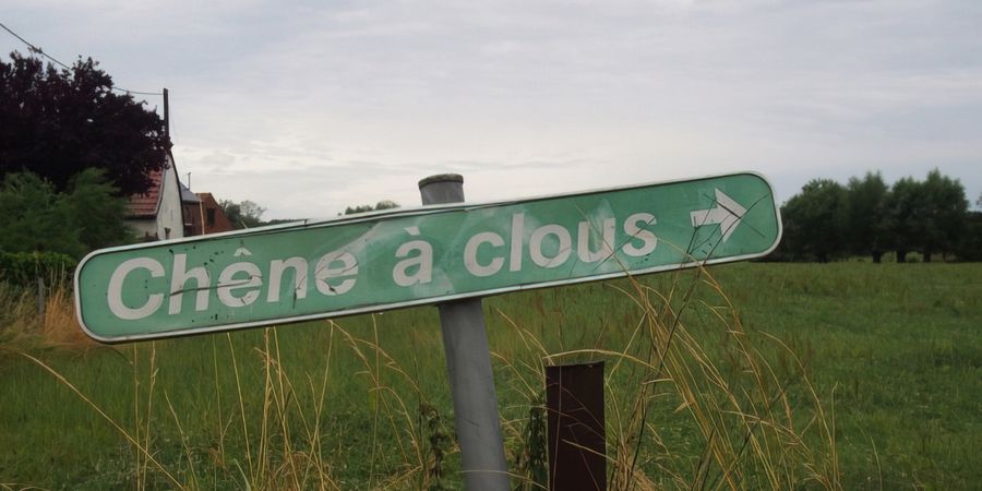 image - l'arbre à clous | Dominique ROODTHOOFT