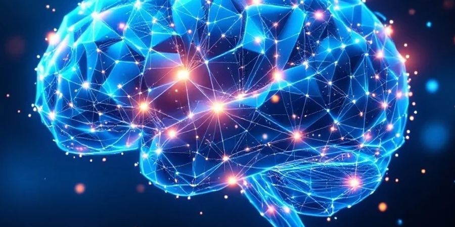 image - La conscience dans tous ses états