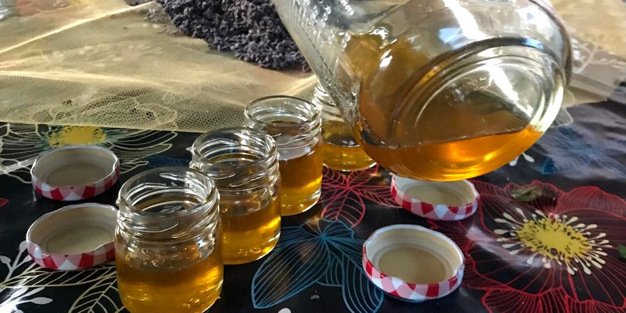 image - Les plantes dans l’huile ou le vinaigre, la pharma phyto (presque) zéro euro.