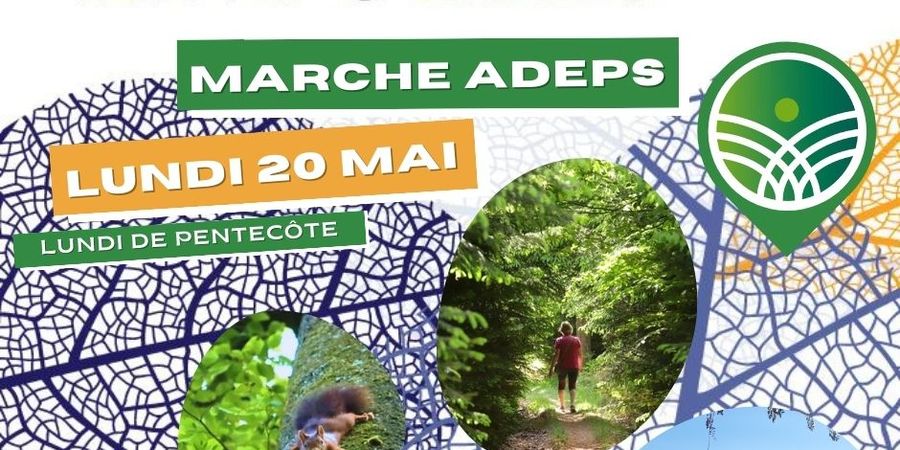 image - Marche Adeps - Habay - Villa de Mageroy