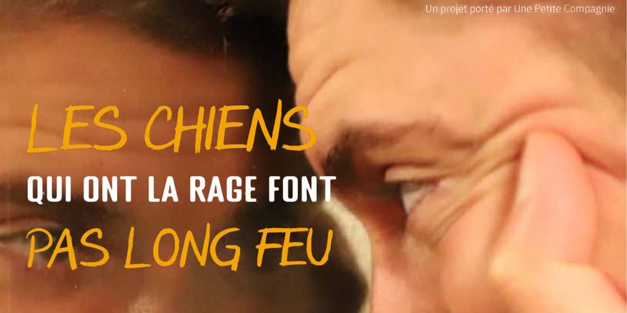 image - Les chiens qui ont la rage ne font pas long feu 