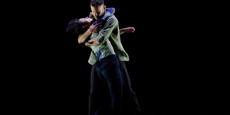 image - Amae d'Eliana Stragapede & Borna Babić