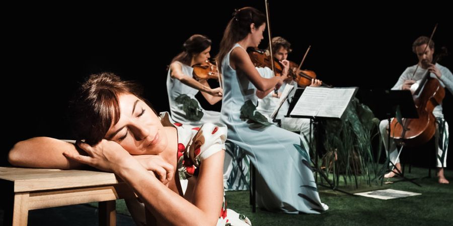 image - Le rêve d’Ariane ou le quatuor raconté aux enfants