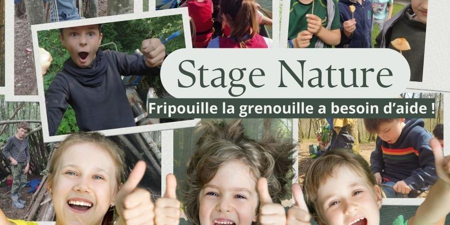 image - Stages nature - Fripouille la grenouille a besoin d'aide ! (3-4 ans)