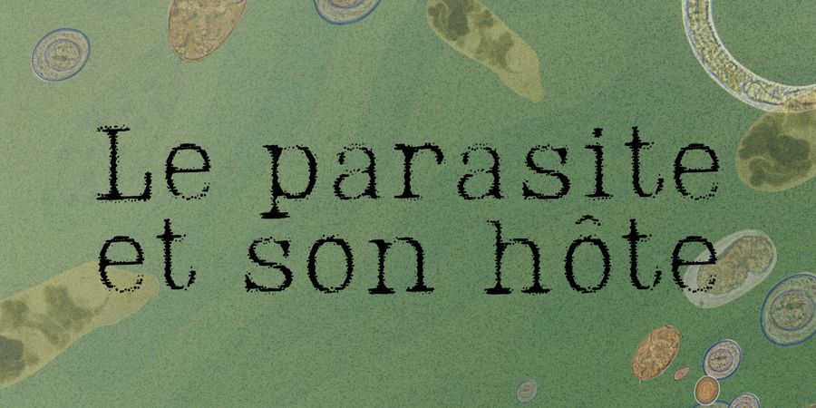 image - 'Le parasite et son hôte' : écoute publique du documentaire radiophonique de Sarah Fautré