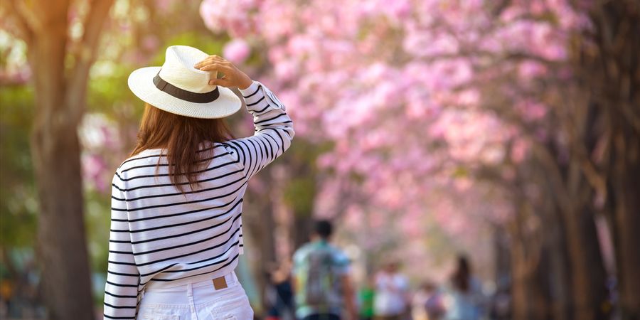 Comment ne pas s'ennuyer le lundi de Pâques ?