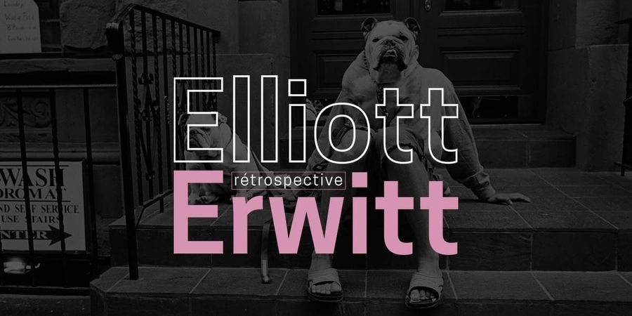 image - Elliott Erwitt : Rétrospective