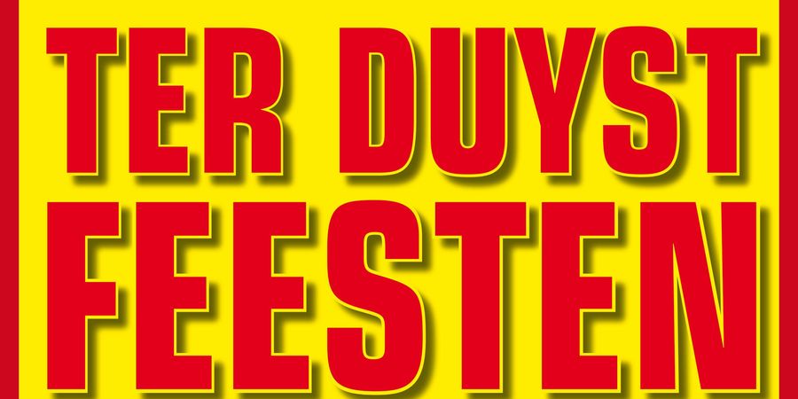 image - Ter Duyst Feesten