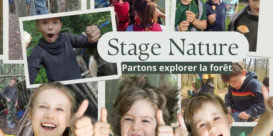 image - Stages nature - Partons explorer la forêt (5-7 ans)