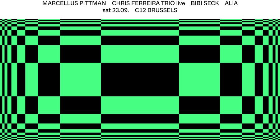 image - C12 NITE