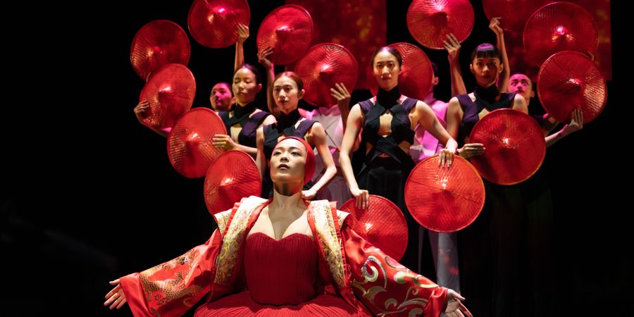 image - Alice | Cie B.DANCE