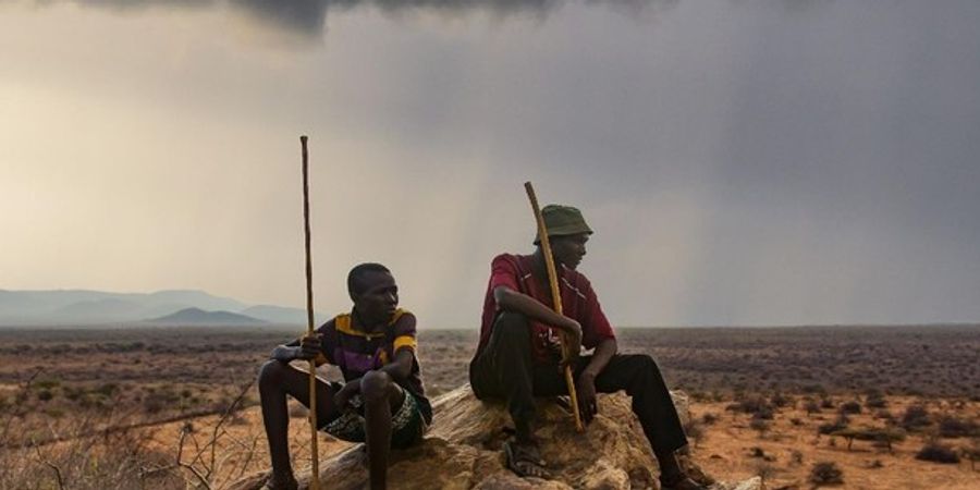 image - Entre les pluies (Kenya 2023) : Afrique/Wallonie, regards croisés sur l’élevage face au climat