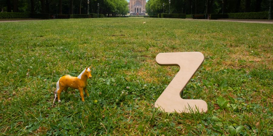image - Le Cycle Z – Chorale Cheval