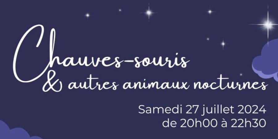 image - Chauves-souris et autres animaux nocturnes