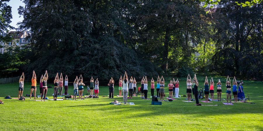 image - Natuur & Welzijn