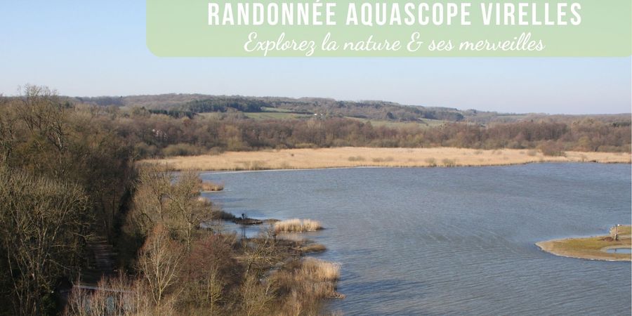 image - Randonnée et découverte autour de l’étang de Virelles