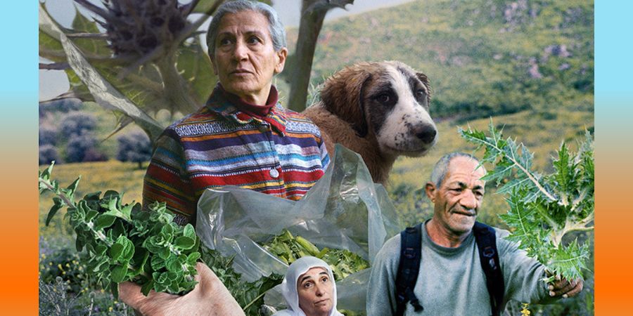 image - FORAGERS + SOUP OVER BETHLEHEM