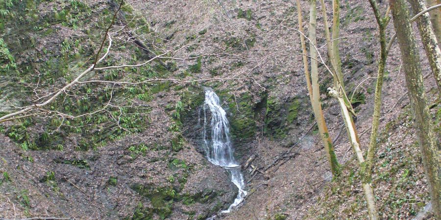image - A la découverte du Vallon du Chantoir