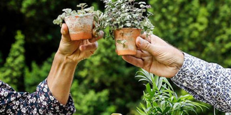 image - Il faut cultiver son jardin
