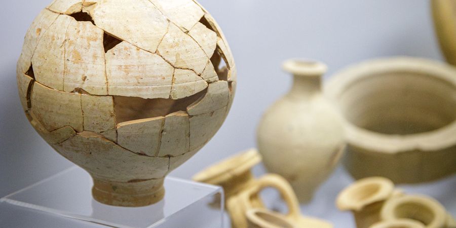 image - La beauté du quotidien (animation exposition 