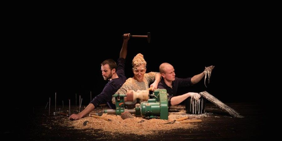 image - Sawdust Symphony - M. Zandl, D. Eisele, K. Huneck