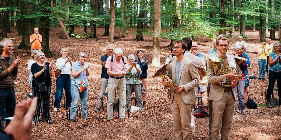 image - Wald - Bain de forêt musical
