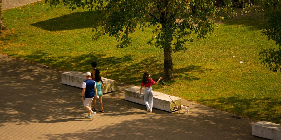 De mooiste tuinen en parken om te ontdekken