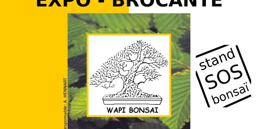 image - brocante bonsai