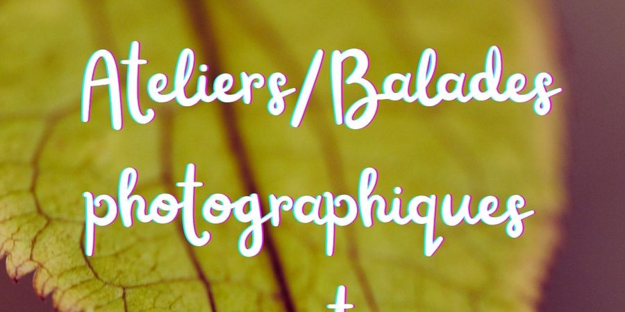 image - Balade photo en nature