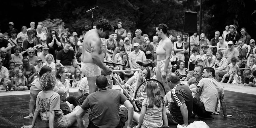 image - Les Tchafornis