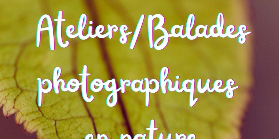 image - Balade photo en nature