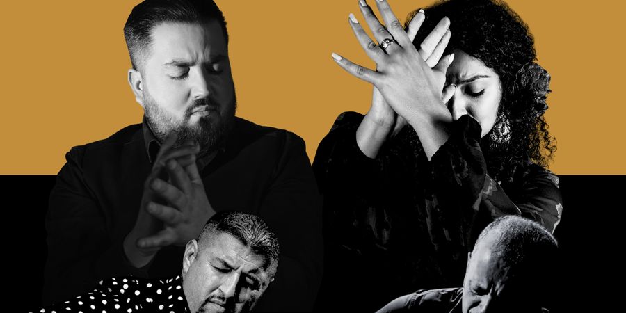 image - Authentieke tablao flamenco met La Rosa Negra, Esteban Murillo, José-Luis Domínguez en Manuel Gómez