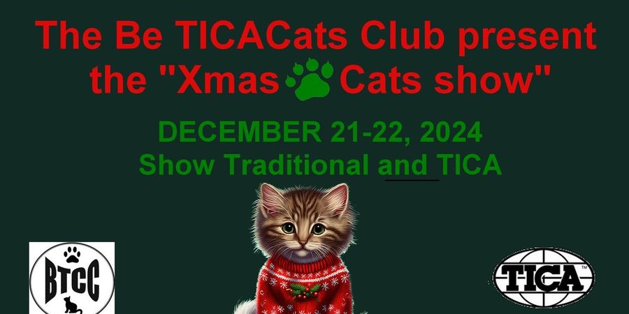 image - Xmas Cats Show 2024