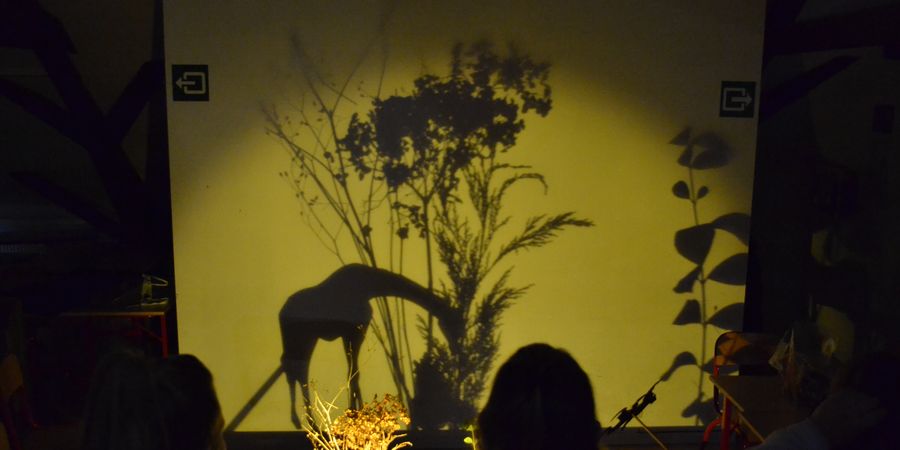 image - J'anime un atelier ombres chinoises