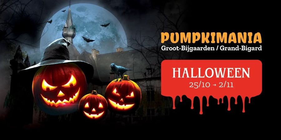 image - Pumpkimania