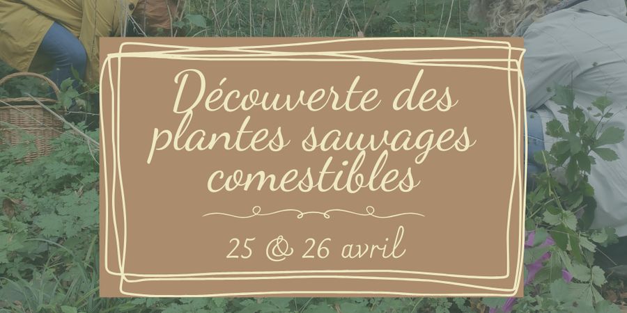 image - Formation - découverte des plantes sauvages comestibles